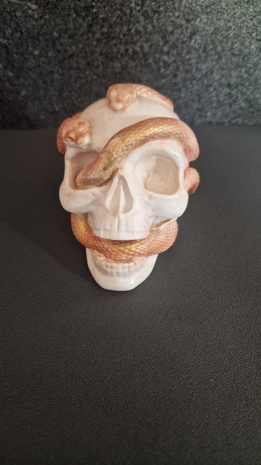 skull & snake