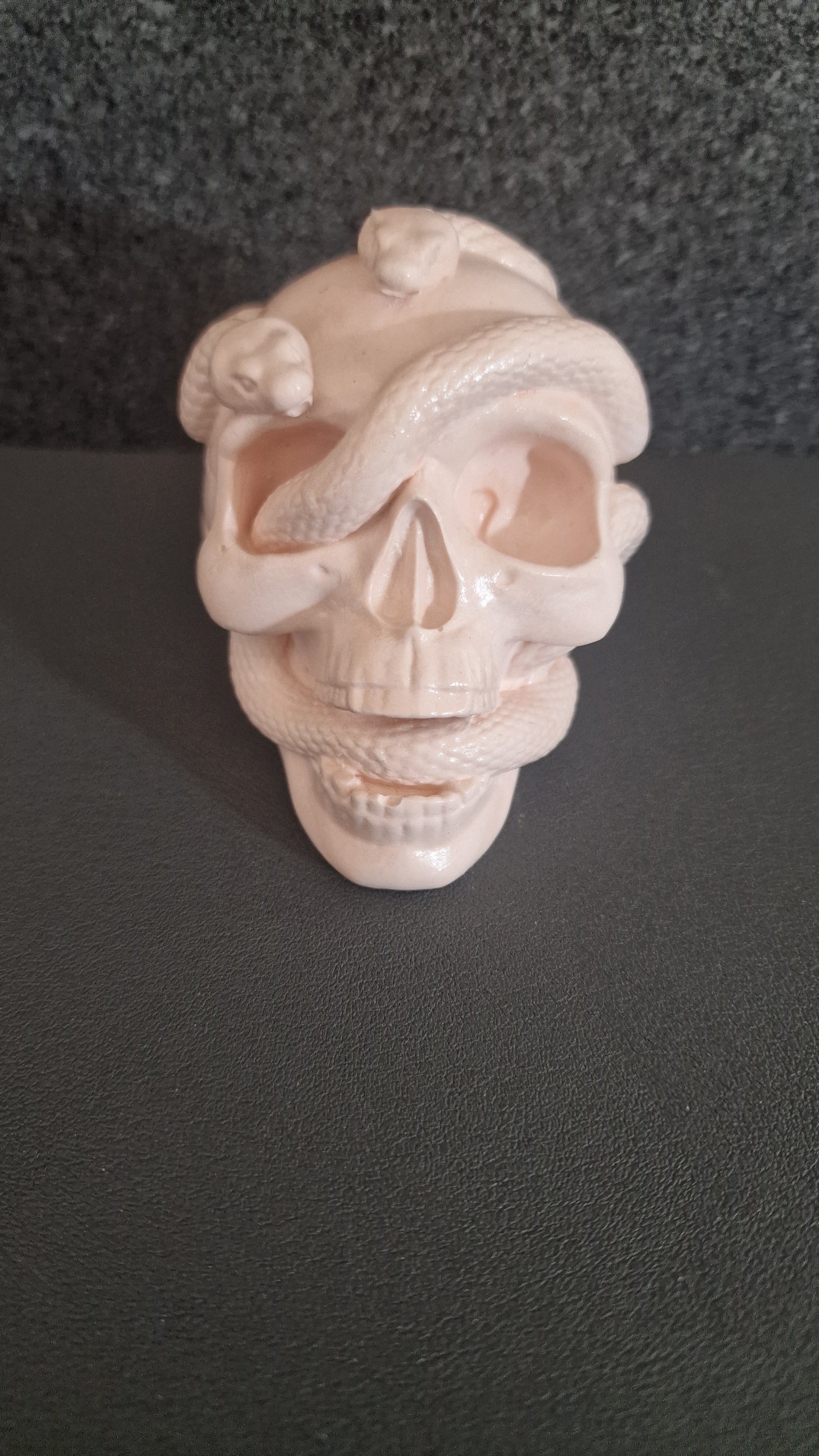 skull & snake