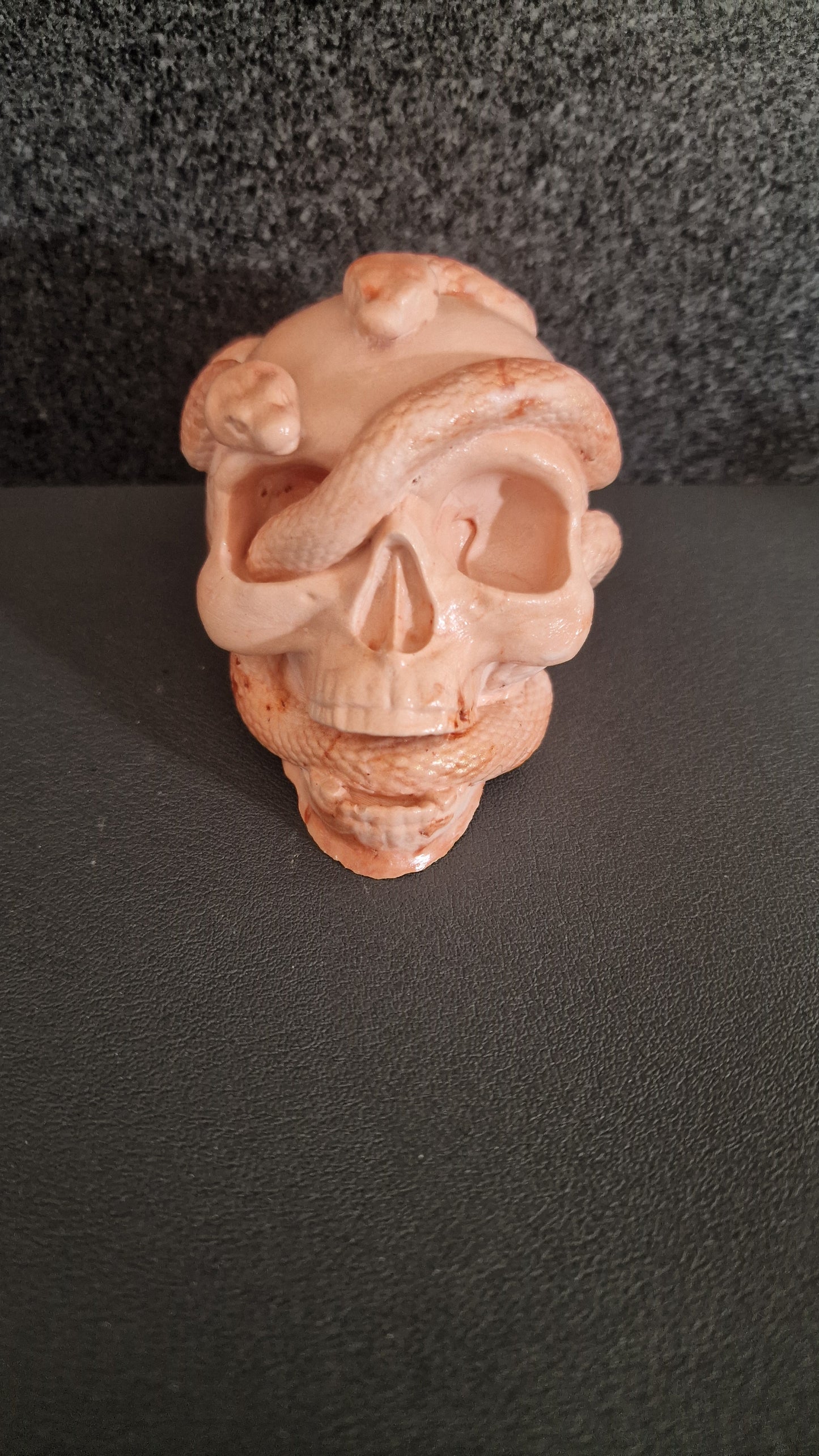 skull & snake