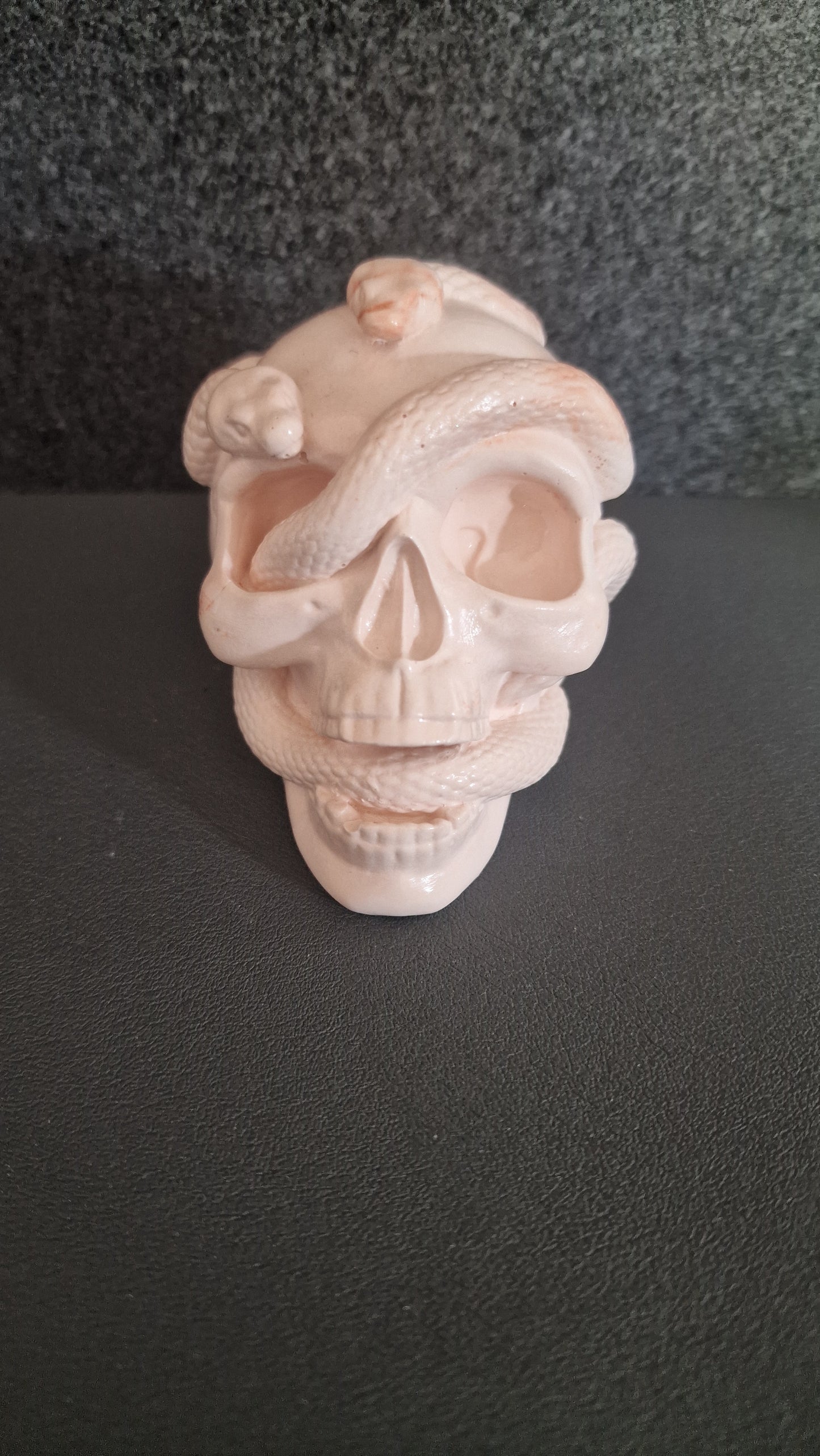 skull & snake