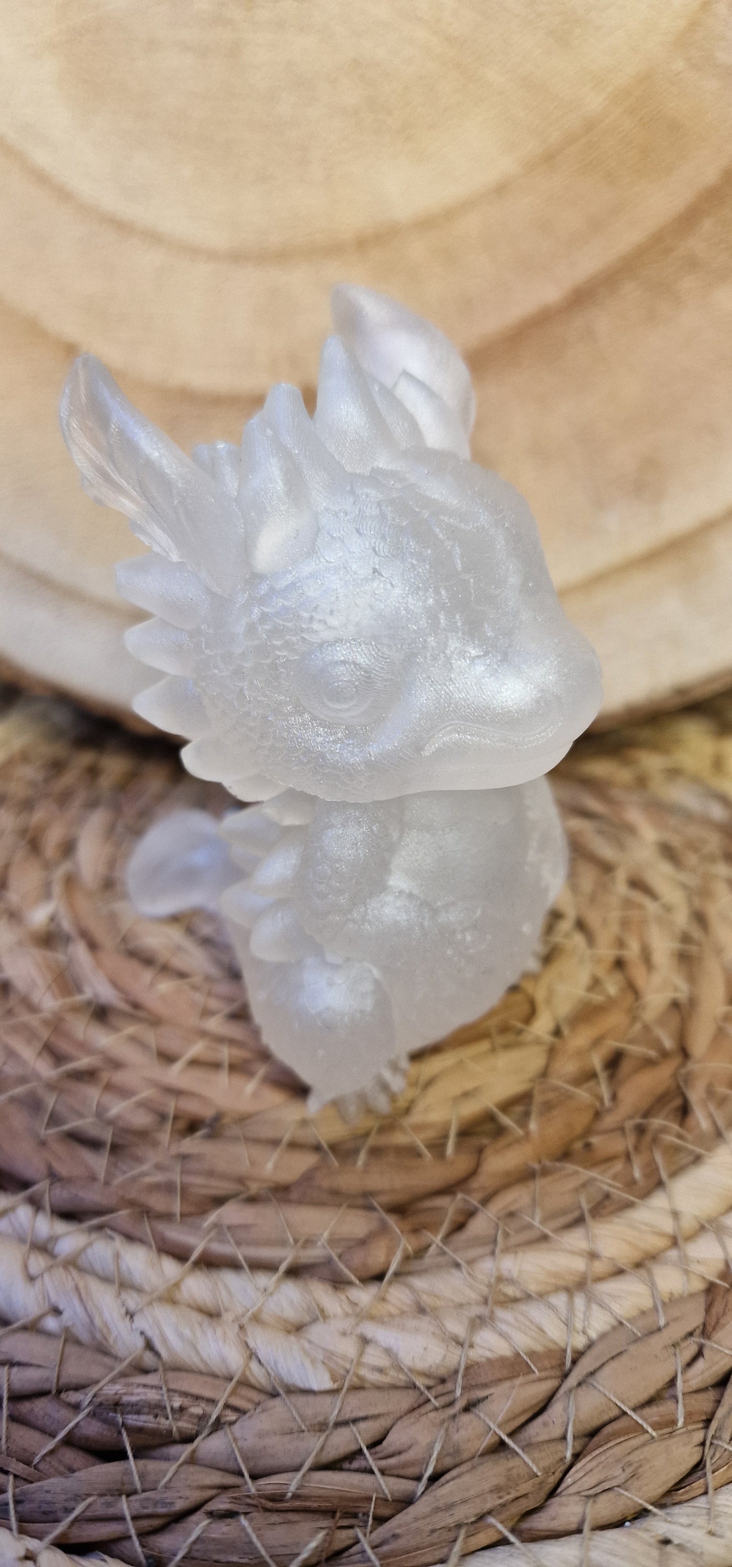 petit dragon