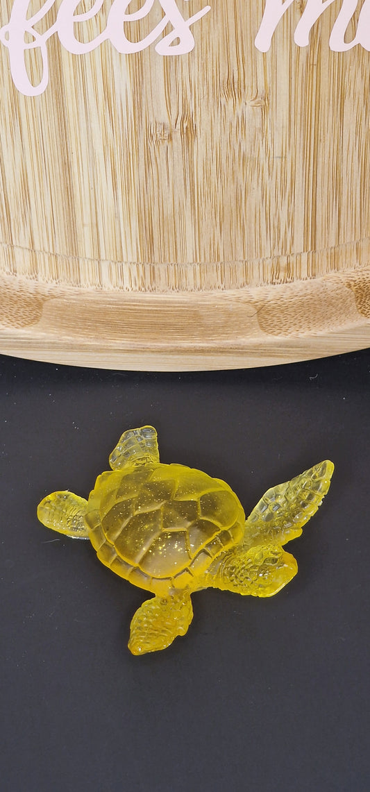 tortue
