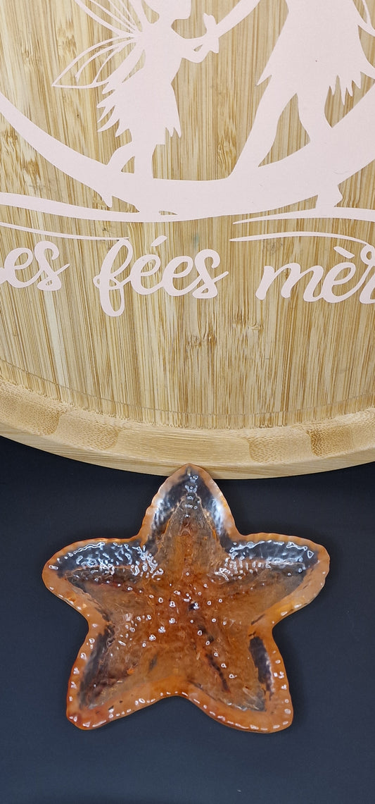 vide poche étoile de mer
