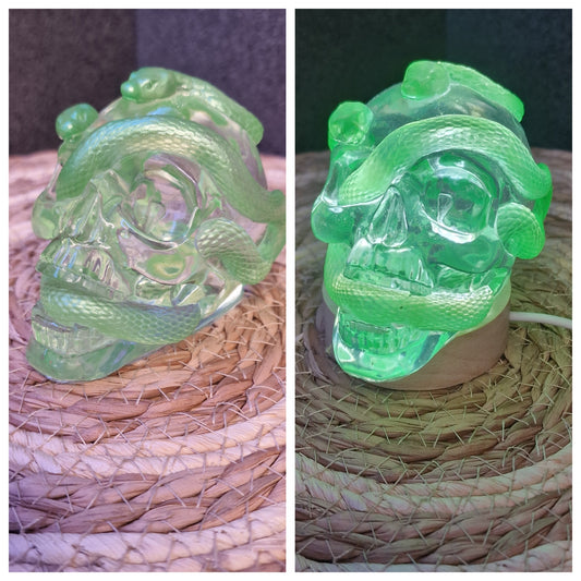 crâne et serpent lumineux