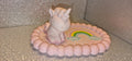 Plateau licorne