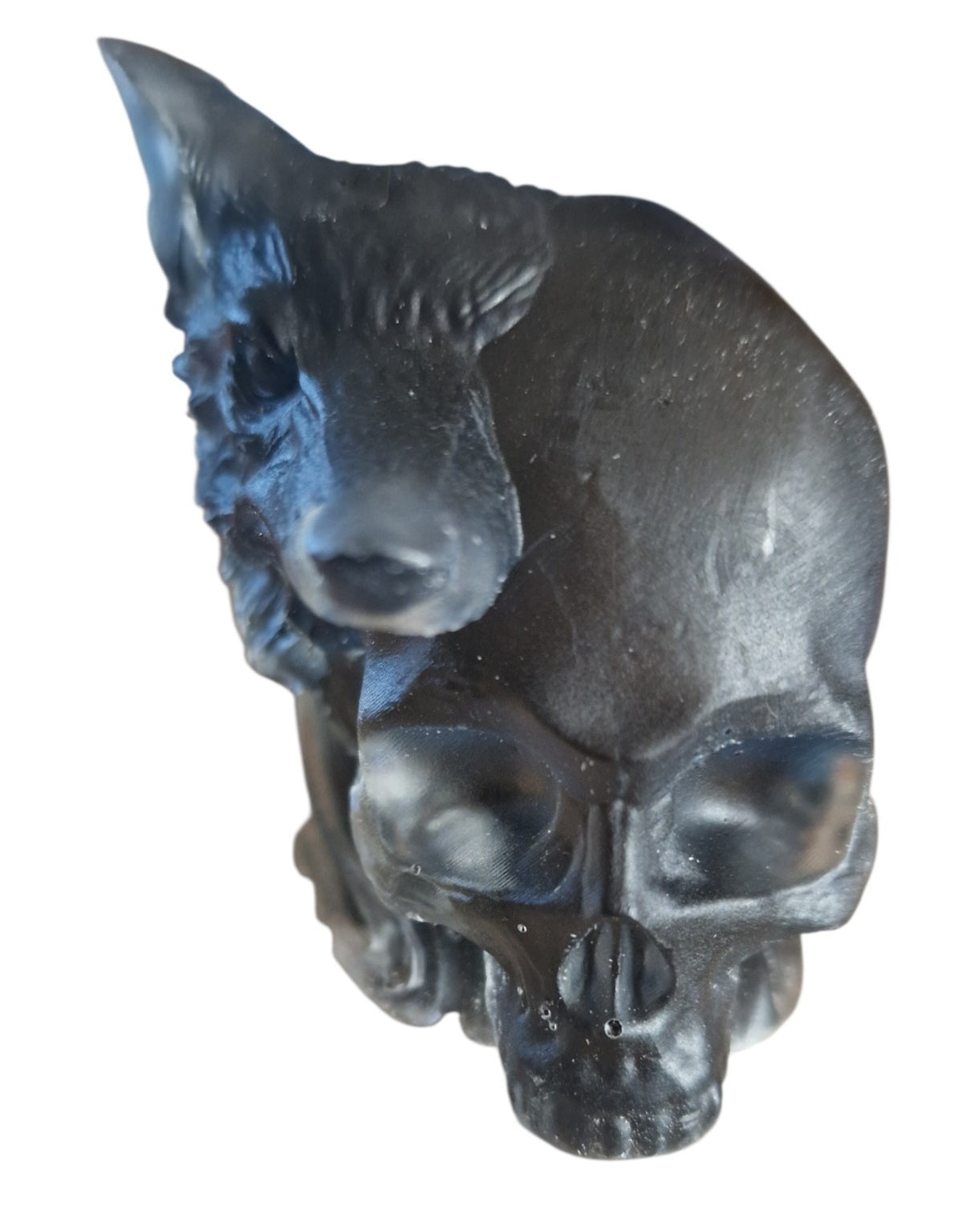 Skull and wolf